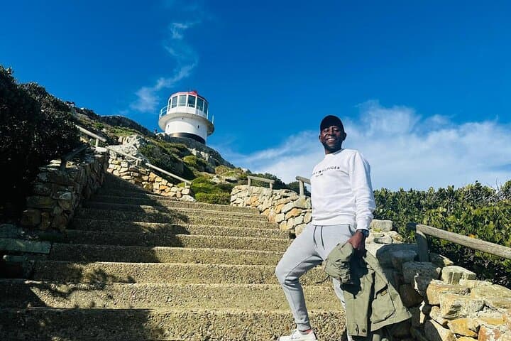Cape of Good Hope & Penguin Watching: Private Full-Day Tour from Cape Town