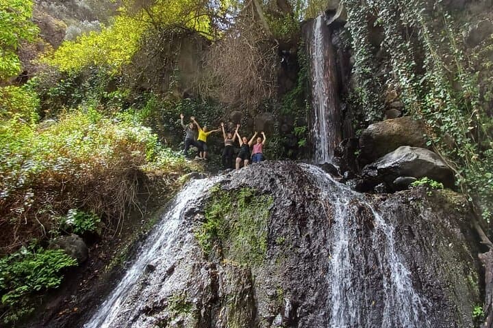 Barranco de los Cernícalos: Waterfalls & Rainforest Hike with Local Guides in Gran Canaria photo 4