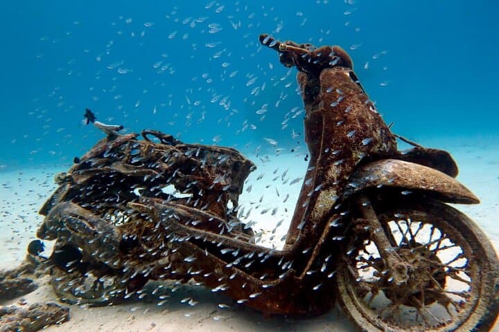 Two Fun Dives at Racha Yai & Noi — Certified Diver Day Trip from Phuket photo 2