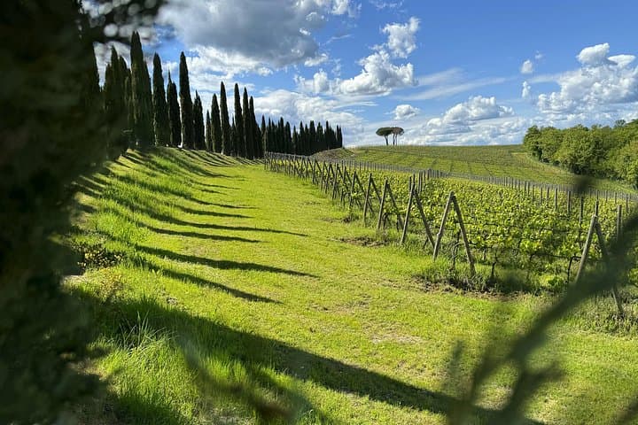 Private E-Bike Tour in Montalcino: Val d'Orcia E-Bike Experience with Wine Tasting photo 3