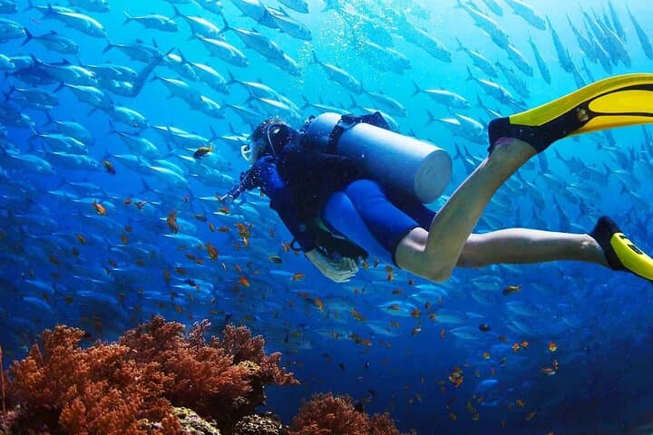 Two Fun Dives at Racha Yai & Noi — Certified Diver Day Trip from Phuket photo 5