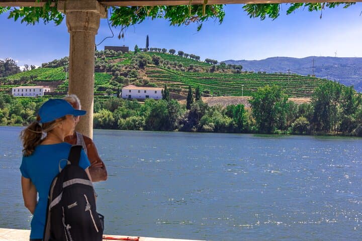 Porto to Régua: Douro Valley Boat Cruise with Breakfast and Lunch photo 4