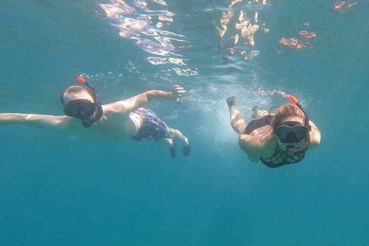Fuerteventura Snorkeling: Marine Life & Volcanic Reef Discovery photo 4