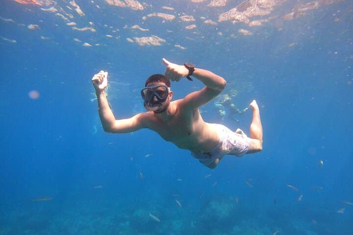 Fuerteventura Snorkeling: Marine Life & Volcanic Reef Discovery photo 5