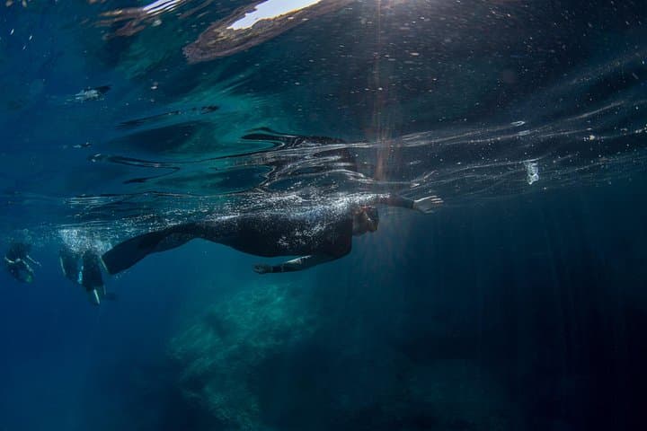 Sunset Snorkeling at Punta Campanella — Guided Marine-Biologist Tour from Sorrento photo 3