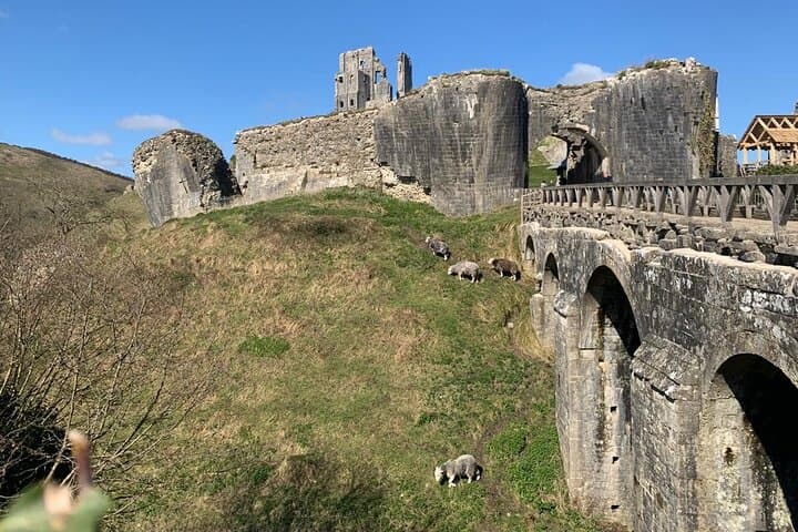 E-Bike Excursion from Swanage: Old Harry Rocks & Jurassic Coast Ride photo 3