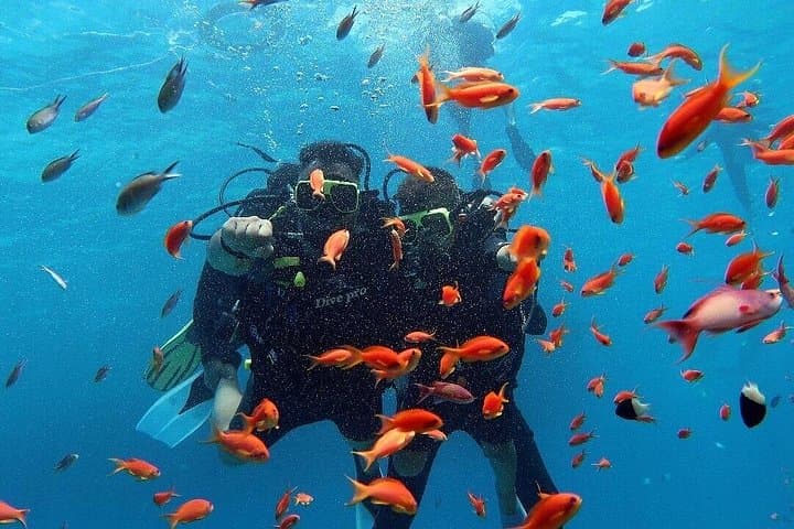 Snorkel Tiran Island: Full-Day Boat Trip from Sharm El Sheikh photo 3