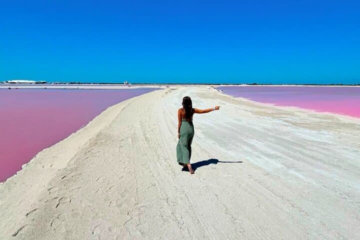 Rio Lagartos and Las Coloradas Pink Lakes Tour with Mayan Mud Bath