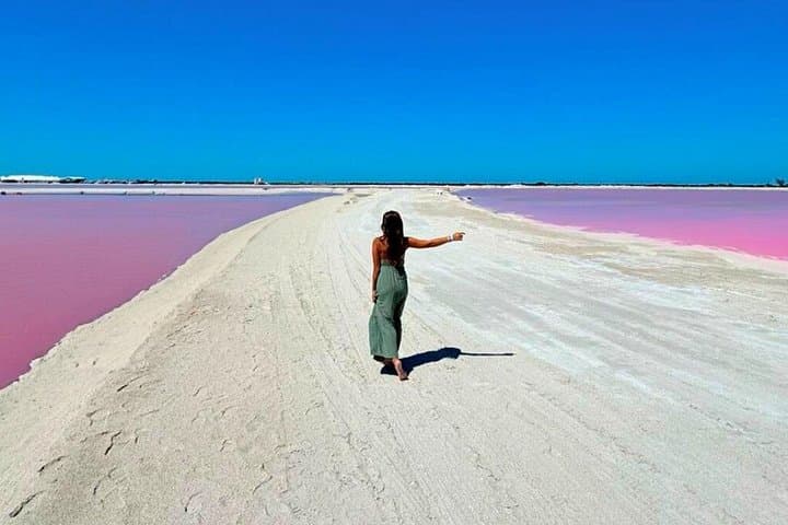 Rio Lagartos & Las Coloradas Pink Lakes: Full-Day Safari and Mayan Mud Bath from Cancun