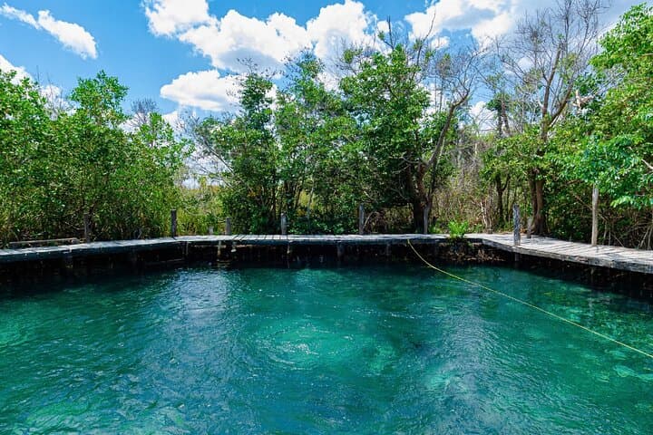 Full-Day Holbox Island Tour: Whale Sharks, Flamingos & Yalahau Lagoon photo 3