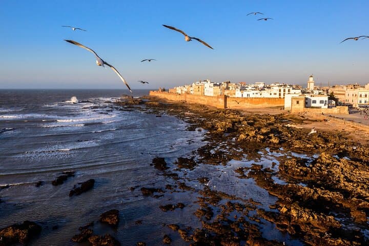 Marrakech to Essaouira Day Trip: Argan Plains & Atlantic Port photo 2
