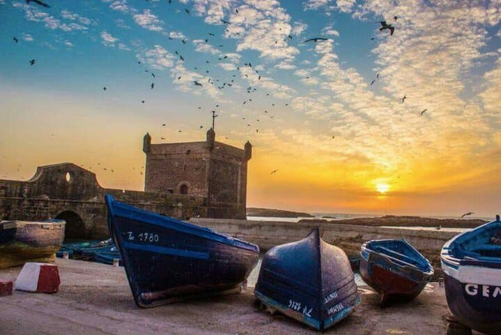Marrakech to Essaouira Day Trip: Argan Plains & Atlantic Port photo 3