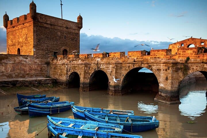 Marrakech to Essaouira Day Trip: Argan Plains & Atlantic Port photo 6