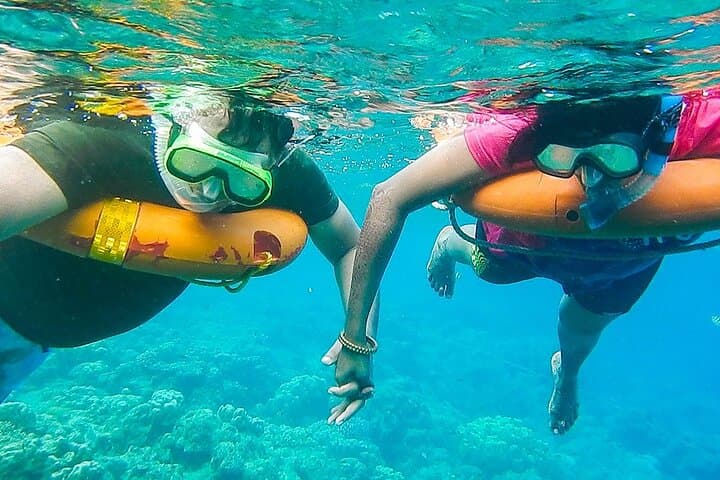 Key West 3-Hour Snorkeling Adventure on the Florida Reef with Unlimited Drinks photo 6