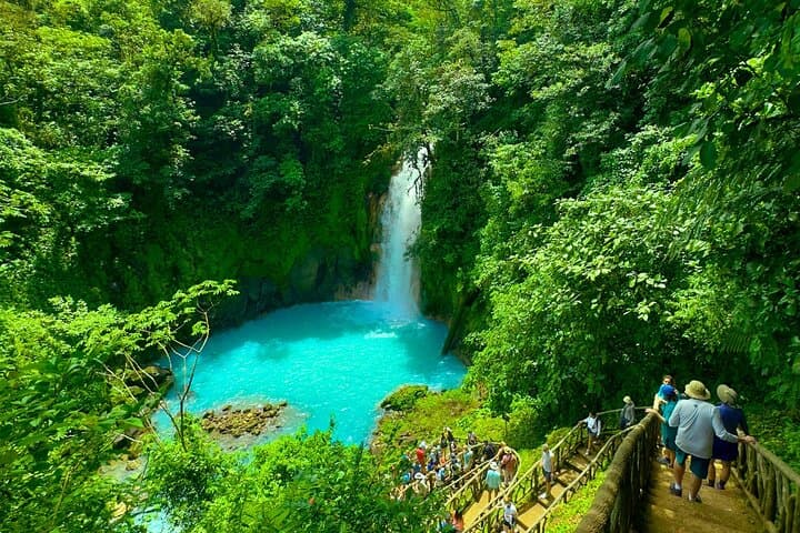 Rio Celeste Expedition: Waterfall Hike, Sloth Viewing & Coffee Culture in Tenorio