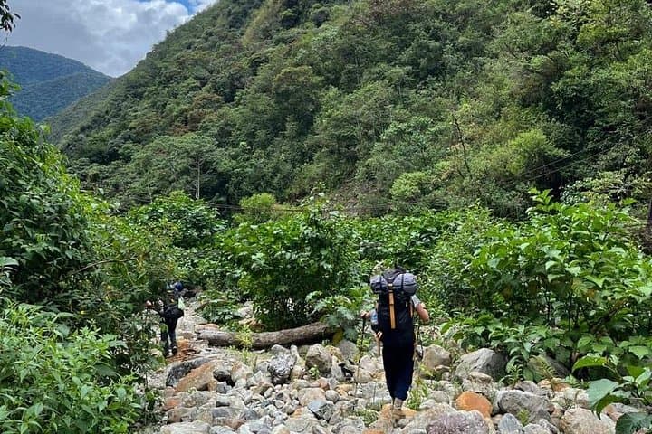 Choro Inka Trail: 3-Day Descent from La Paz to the Yungas Jungle photo 2
