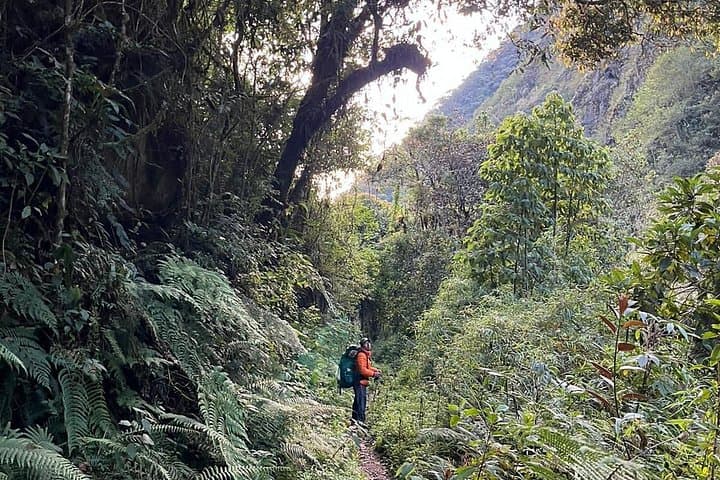 Choro Inka Trail: 3-Day Descent from La Paz to the Yungas Jungle photo 3