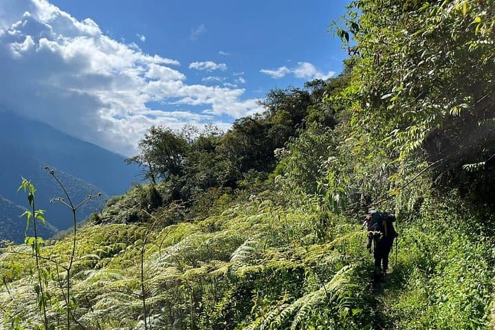 Choro Inka Trail: 3-Day Descent from La Paz to the Yungas Jungle photo 4