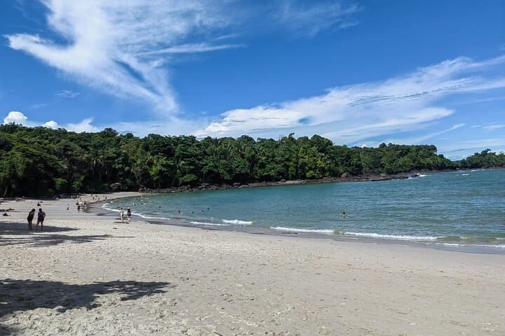 Manuel Antonio National Park Guided Wildlife Tour — See Monkeys & Sloths in Quepos photo 6