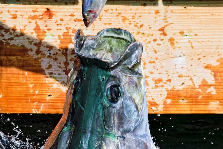 Full-Day Islamorada Adventure from Ft Lauderdale with Nature Walk, Boat Cruise & Lunch photo 3