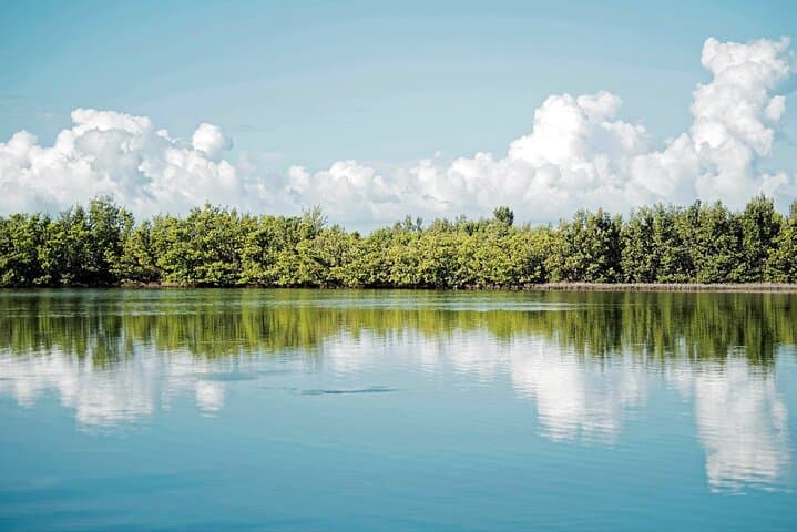 Full-Day Islamorada Adventure from Ft Lauderdale with Nature Walk, Boat Cruise & Lunch photo 4