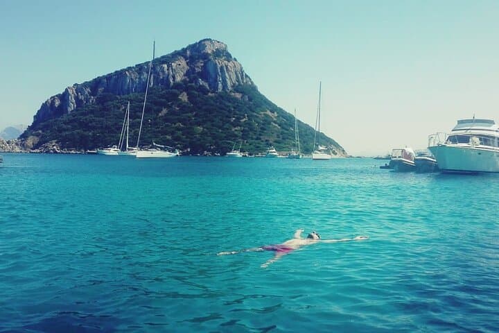 Dolphin Watching Excursion to Figarolo Island — Olbia Boat Tour photo 2