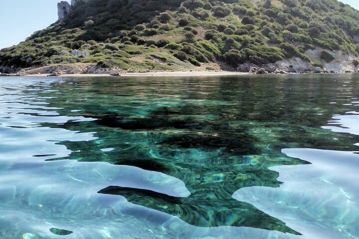 Dolphin Watching Excursion to Figarolo Island — Olbia Boat Tour photo 3