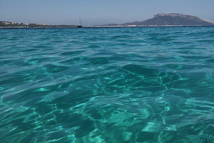 Dolphin Watching Excursion to Figarolo Island — Olbia Boat Tour photo 4