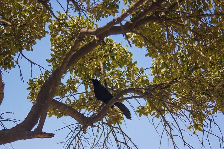 Full Day at Playa Cristal: Tayrona National Park Beach & Snorkeling Trip from Santa Marta photo 6