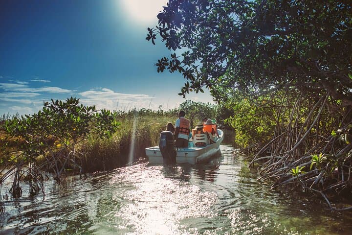 Private Tulum Ruins & Sian Ka'an Muyil Tour — Tulum Ruins, Lagoon Float & Mexican Food photo 4