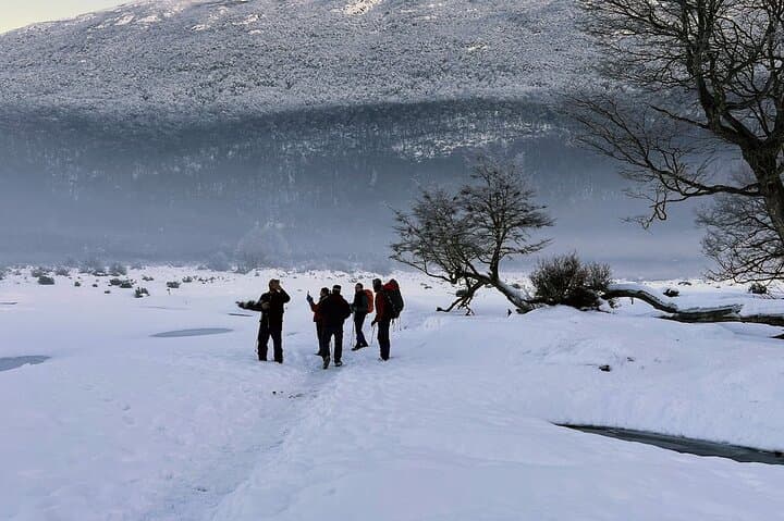 Trekking Vinciguerra Glacier & Témpanos Lagoon — Full-Day Hike from Ushuaia photo 5