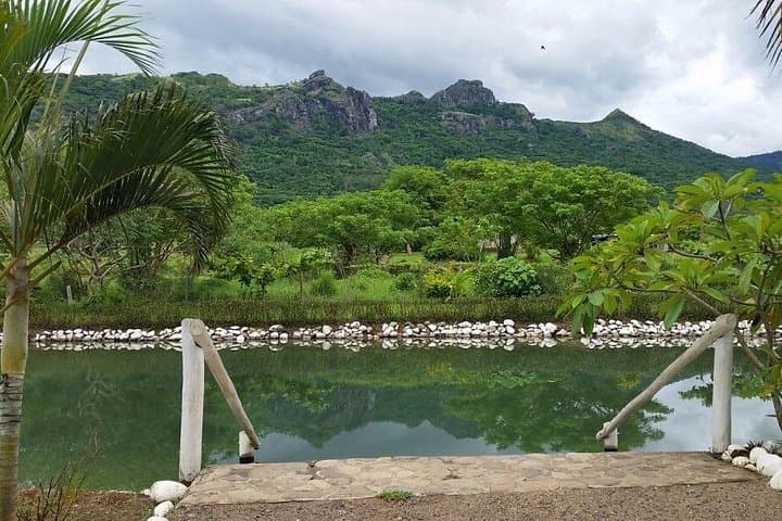 Sabeto Hot Springs and Mud Pool Tour — Nadi's Thermal Baths and Cultural Stop photo 1