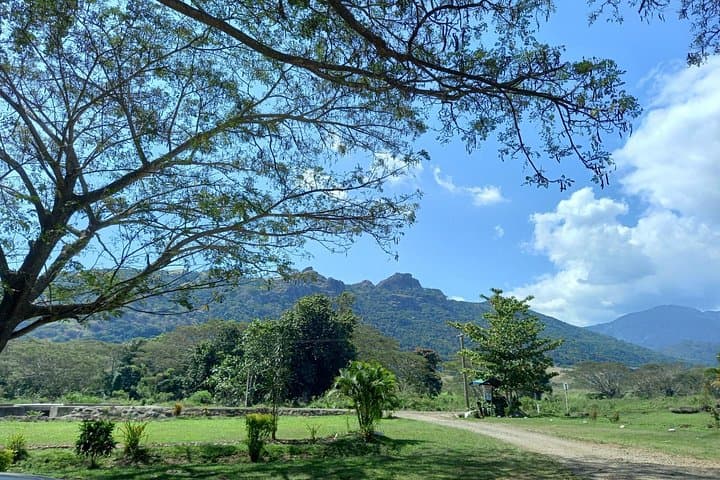 Sabeto Hot Springs and Mud Pool Tour — Nadi's Thermal Baths and Cultural Stop photo 2