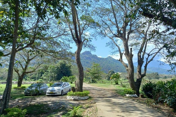 Sabeto Hot Springs and Mud Pool Tour — Nadi's Thermal Baths and Cultural Stop photo 4