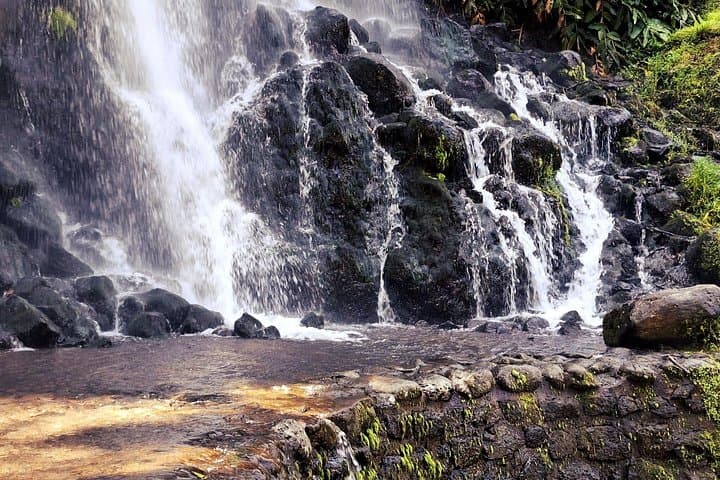 Furnas Volcano Experience: Full-Day Tour to Nordeste, Gorreana Tea & Geothermal Wonders photo 4
