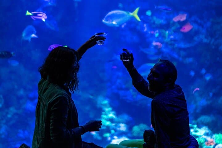 NightLife at California Academy of Sciences: After-Hours Rainforest, Planetarium & VIP Access photo 1