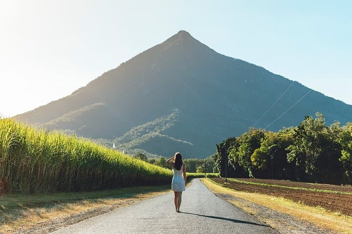 Explorer Tour: Cairns Waterfalls, Crystal Cascades & Behana Gorge Day Trip