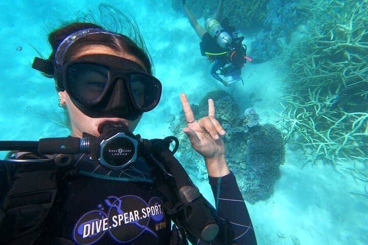 Southern Great Barrier Reef Scuba Day Trip from Agnes Water (1770)