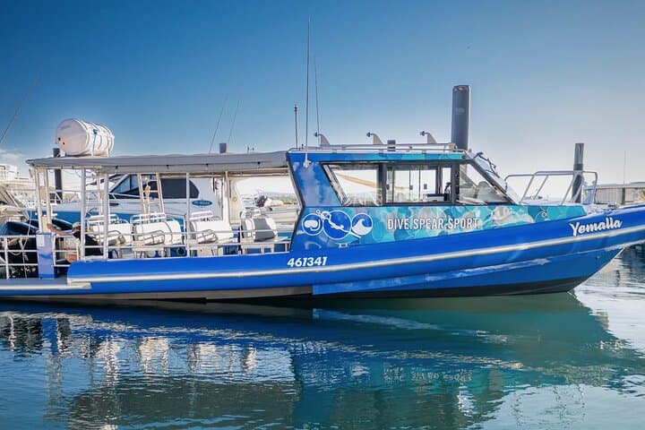 Southern Great Barrier Reef Scuba Day Trip from Agnes Water (1770) photo 2