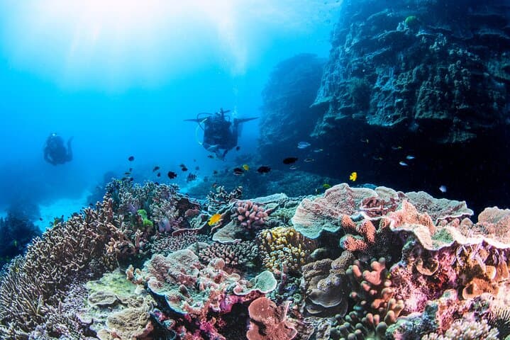 Southern Great Barrier Reef Scuba Day Trip from Agnes Water (1770) photo 4