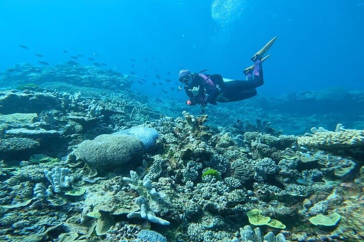 Southern Great Barrier Reef Scuba Day Trip from Agnes Water (1770) photo 5