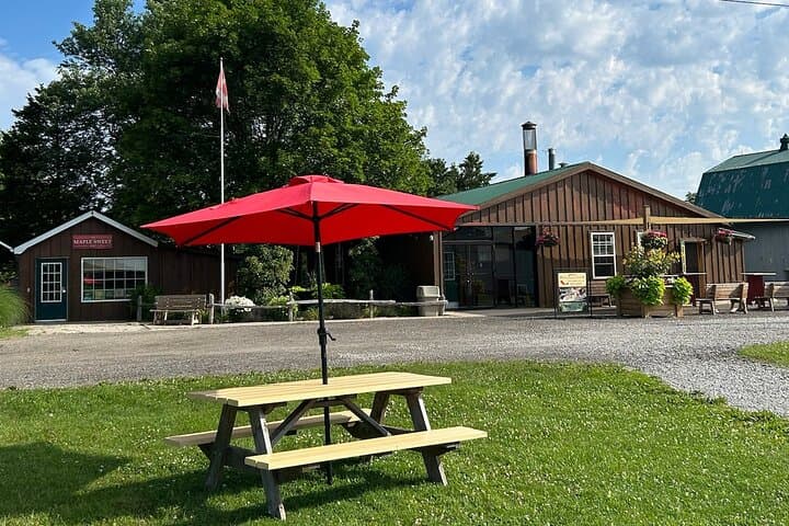 Discover Maple Sugar Bush Tour: Behind-the-Scenes of Ontario Maple Syrup photo 4