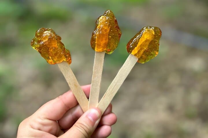 Discover Maple Sugar Bush Tour: Behind-the-Scenes of Ontario Maple Syrup photo 3