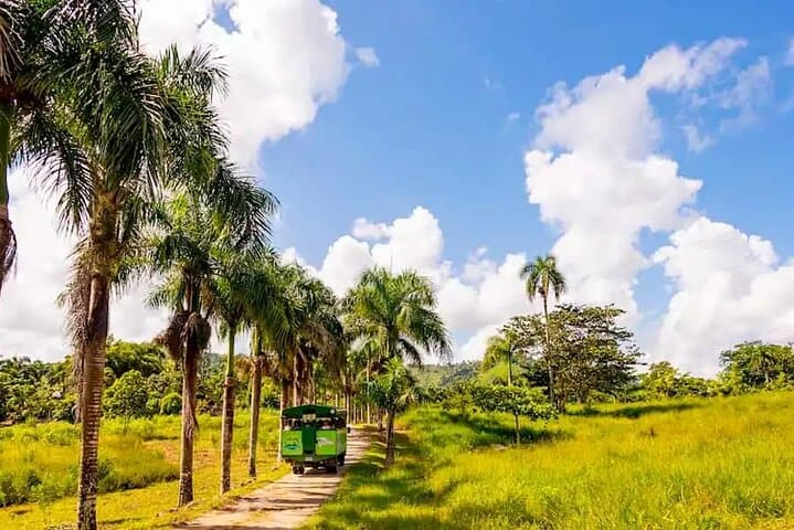 The Ultimate Dominican Adventure: Ziplining, ATV Rides, and More photo 3