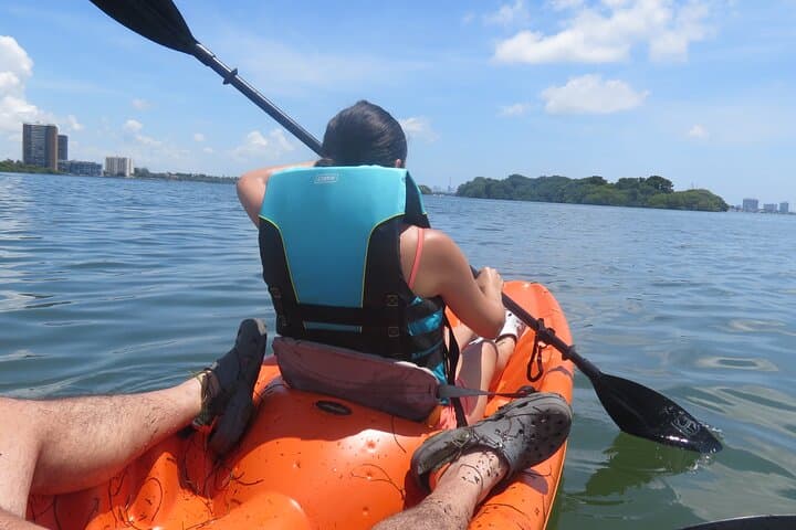 Kayak Eco-Tourism in Miami Bay: Paddle with Dolphins and Manatees photo 5