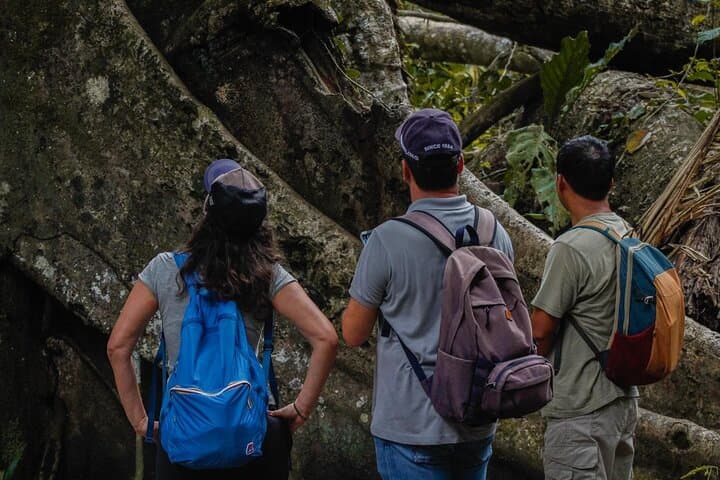 3-Day Sandoval Lake Amazon Wildlife Trip from Puerto Maldonado photo 4
