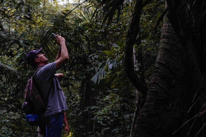 2-Day Sandoval Lake Lodge: Amazon Canoe & Wildlife Experience from Puerto Maldonado photo 6