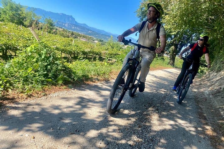 E-Bike Tour & Wine Tasting from Pastrengo: Cycle Forts, Vineyards & Lake Garda Views