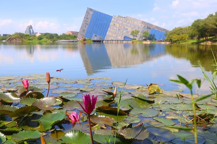 Yilan Day Tour: Animal Farm, Boba Tea Museum & Luodong Night Market from Taipei photo 4