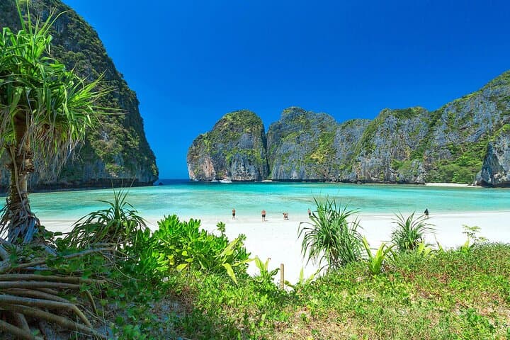 Phi Phi & Bamboo Island: Full-Day Speed Catamaran Adventure from Phuket photo 6